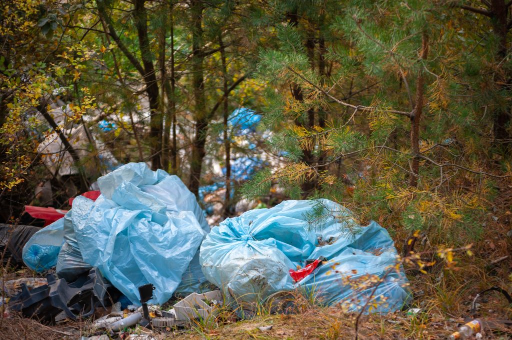 Śmieci w lasach gminy Nasielsk