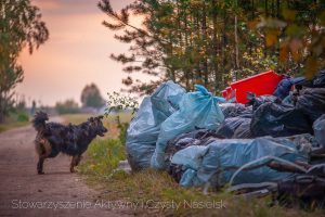 Śmieci w lasach w gminie Nasielsk