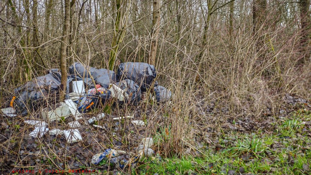 Śmieci w Lesie w gminie Nasielsk