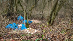 Śmieci w Lasach pod Nasielsk