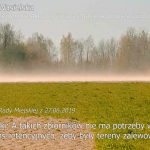 Problem suszy w gminie Nasielsk